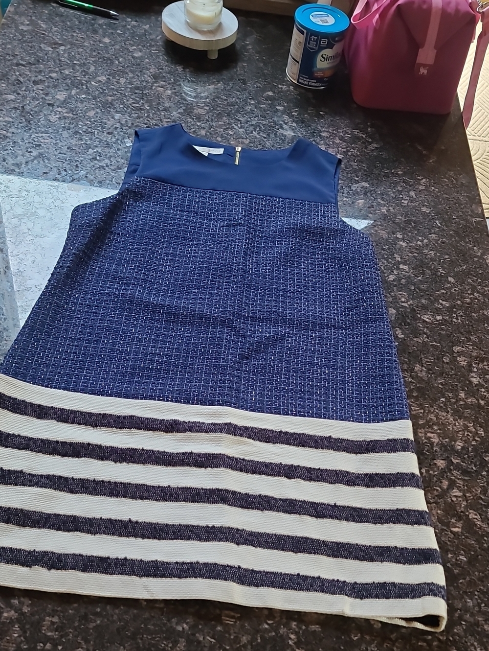 Boston Proper Navy and White Sleeveless Striped Shift Dress